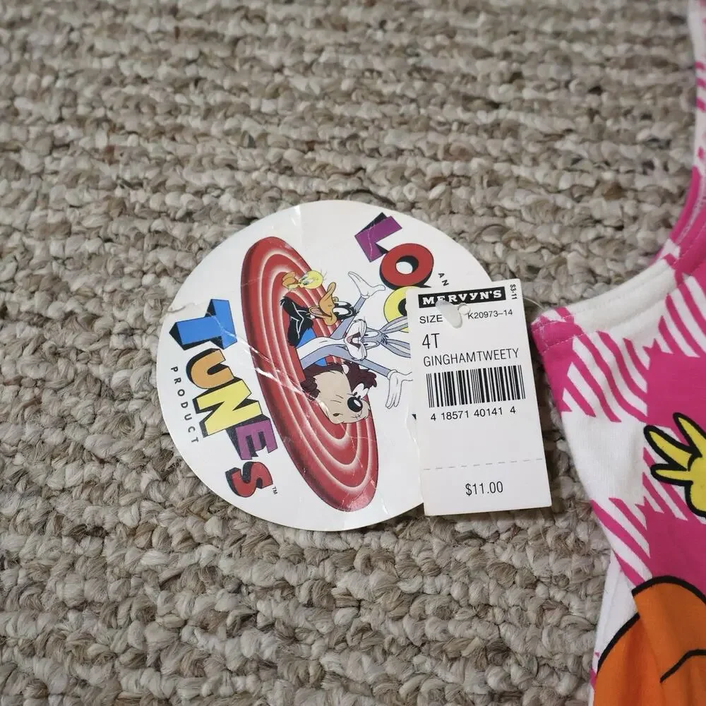 NWT Looney Tunes Tweety Bird Pink Gingham One Piece Bathing Suit Swim 4T Cute
